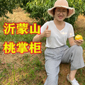 沂蒙山桃掌柜