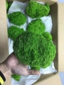 果鲜赐旗舰店