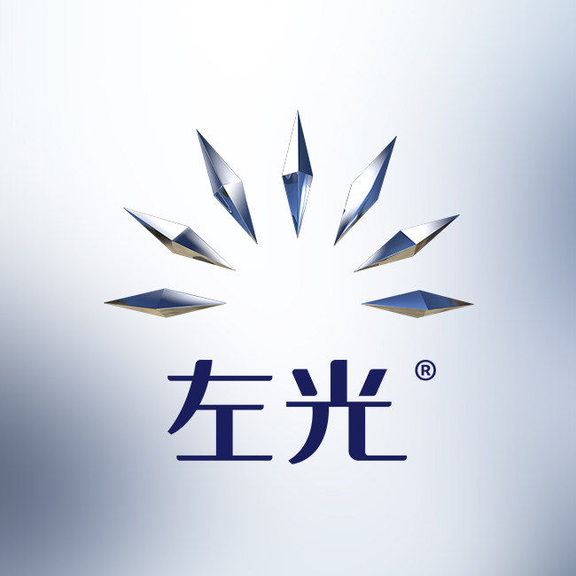 左光旗舰店