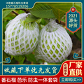 沐歌农业