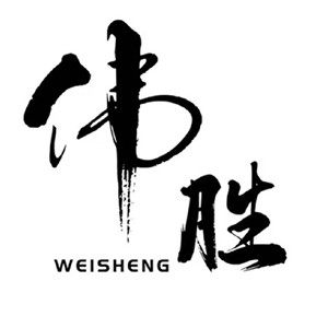 伟胜车品专营店