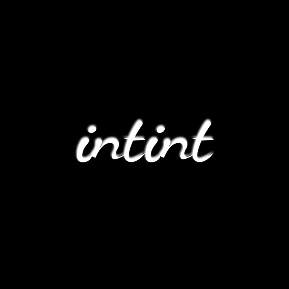 INTINT
