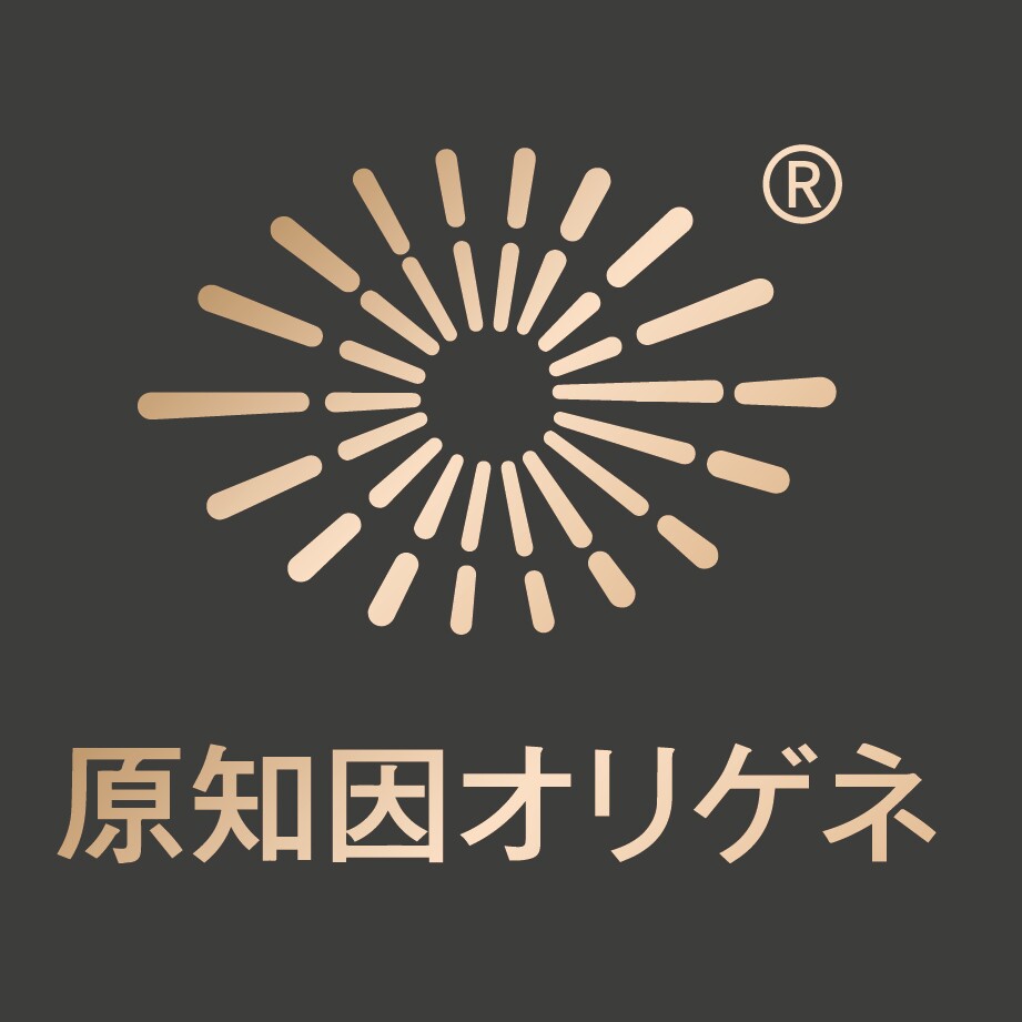 原知因海外旗舰店