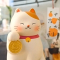 中原工厂直发