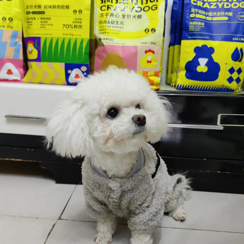 萌宠de宠物用品店