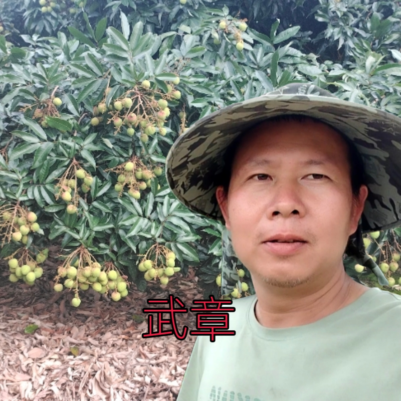 新农人老房的小店