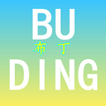 BU DING