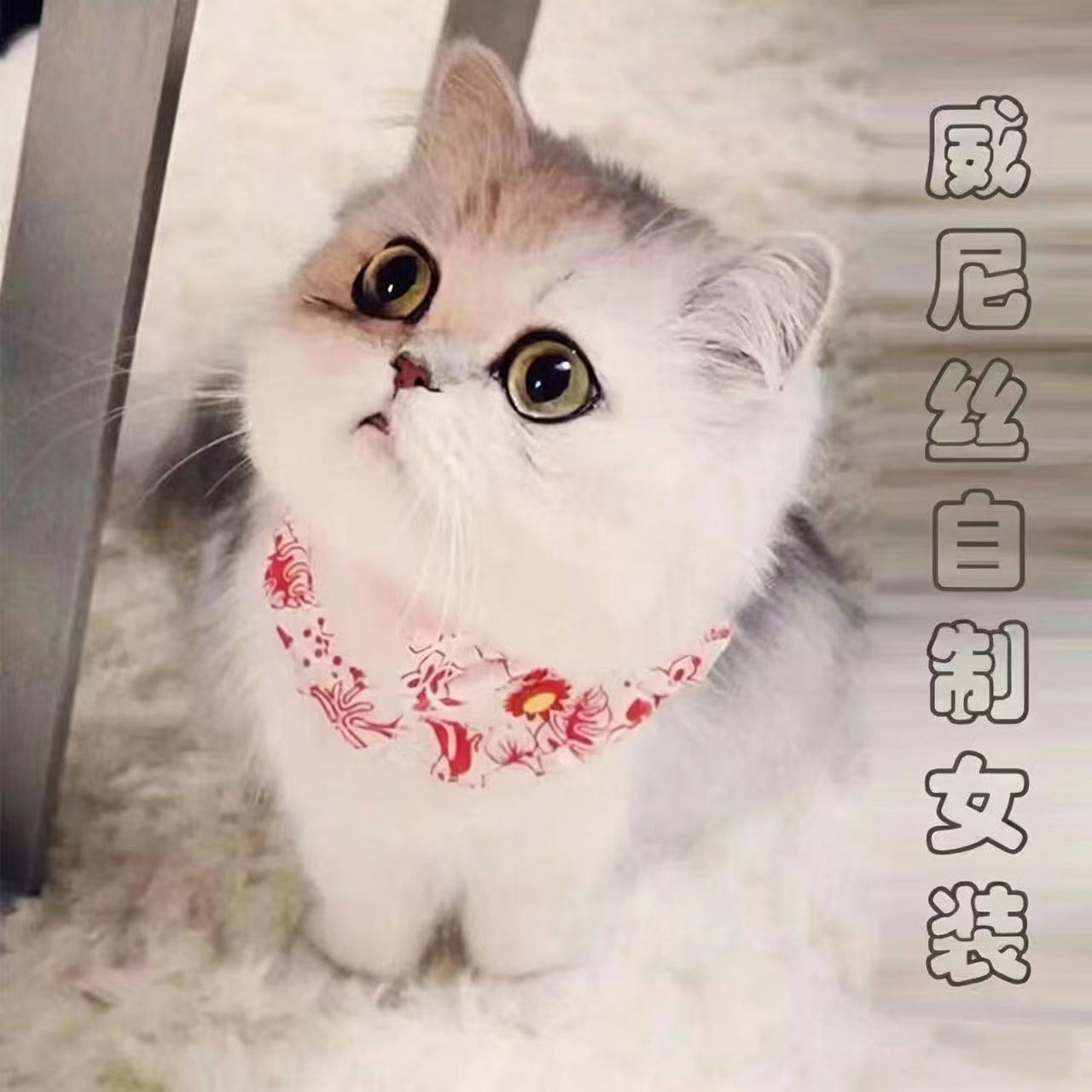 威尼丝自制女装店
