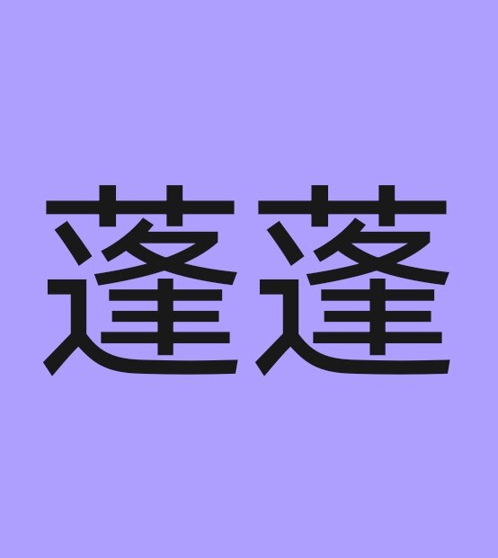 蓬蓬的店