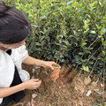 欣怡种植场 店铺LOGO