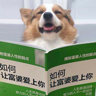 飞影会员权益