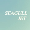 海鸥星球Seagull Jet 店铺LOGO