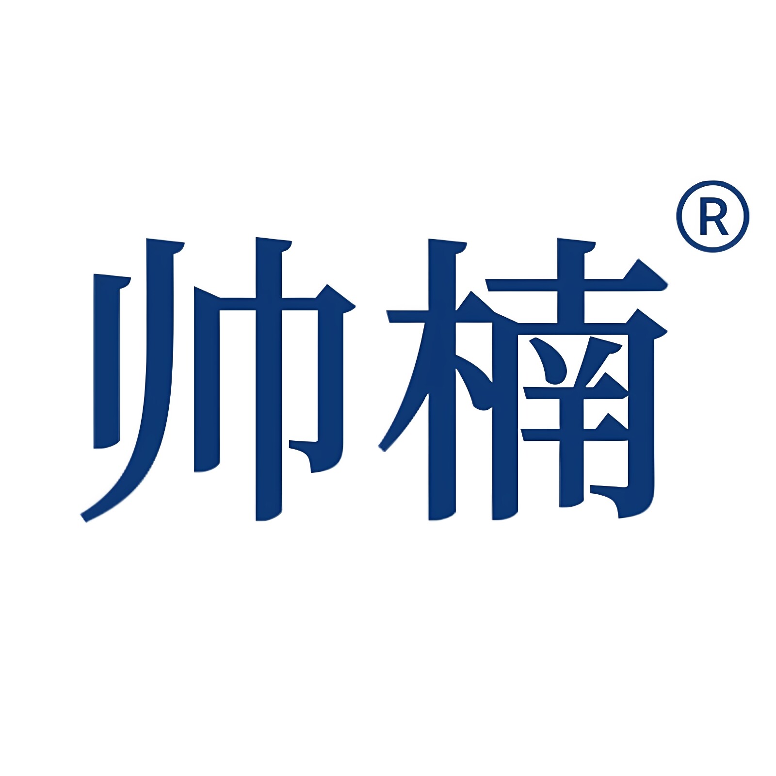 帅楠旗舰店 店铺LOGO