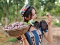 疆城茗果果业