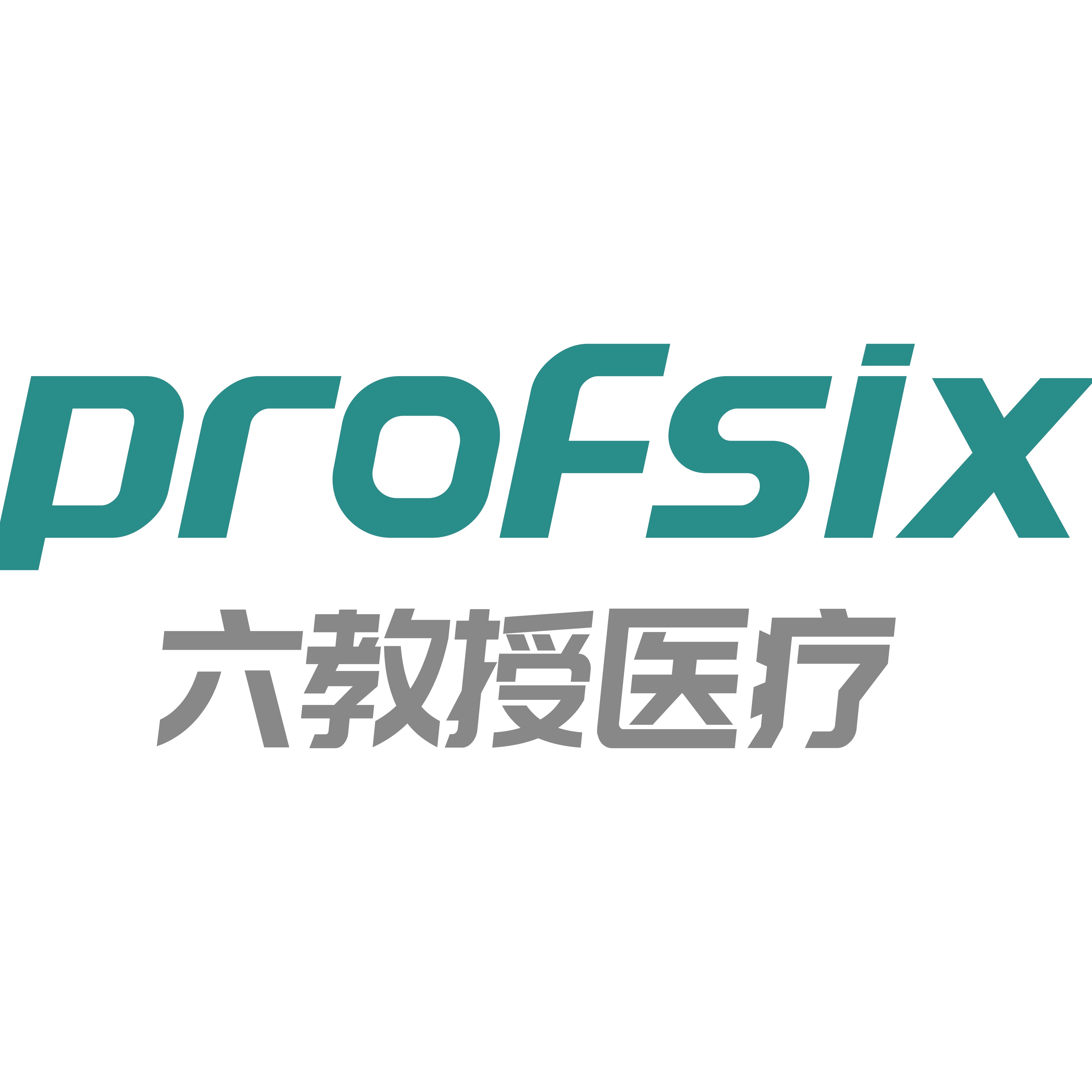 PROFSIX旗舰店