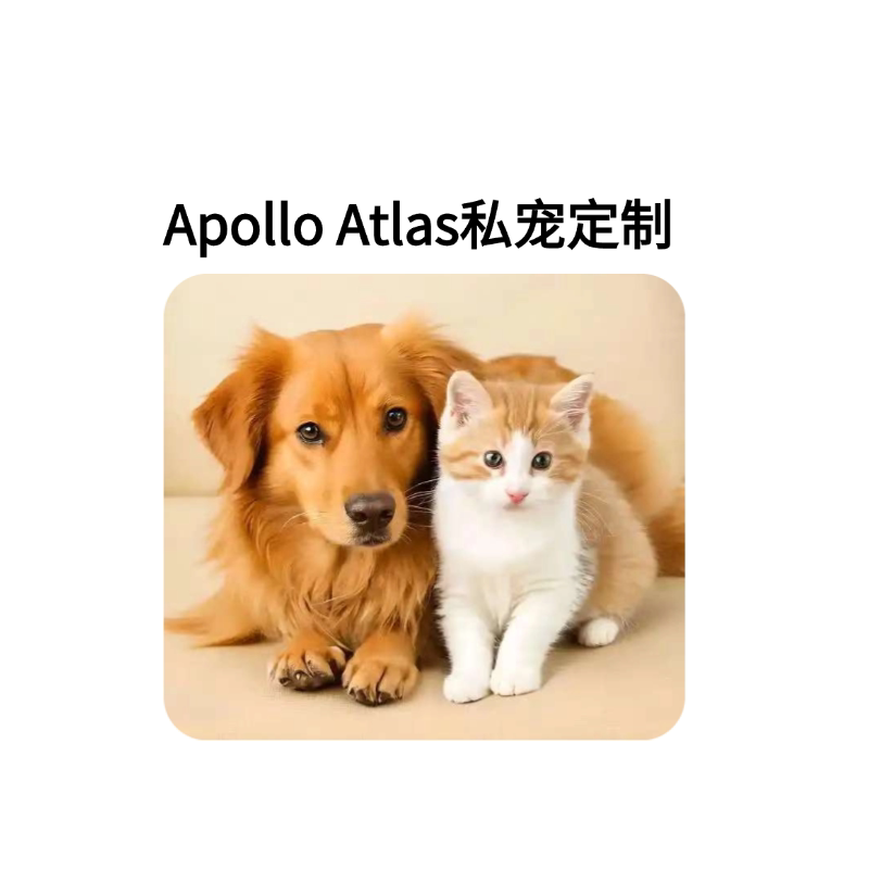 萌萌DE小宝贝