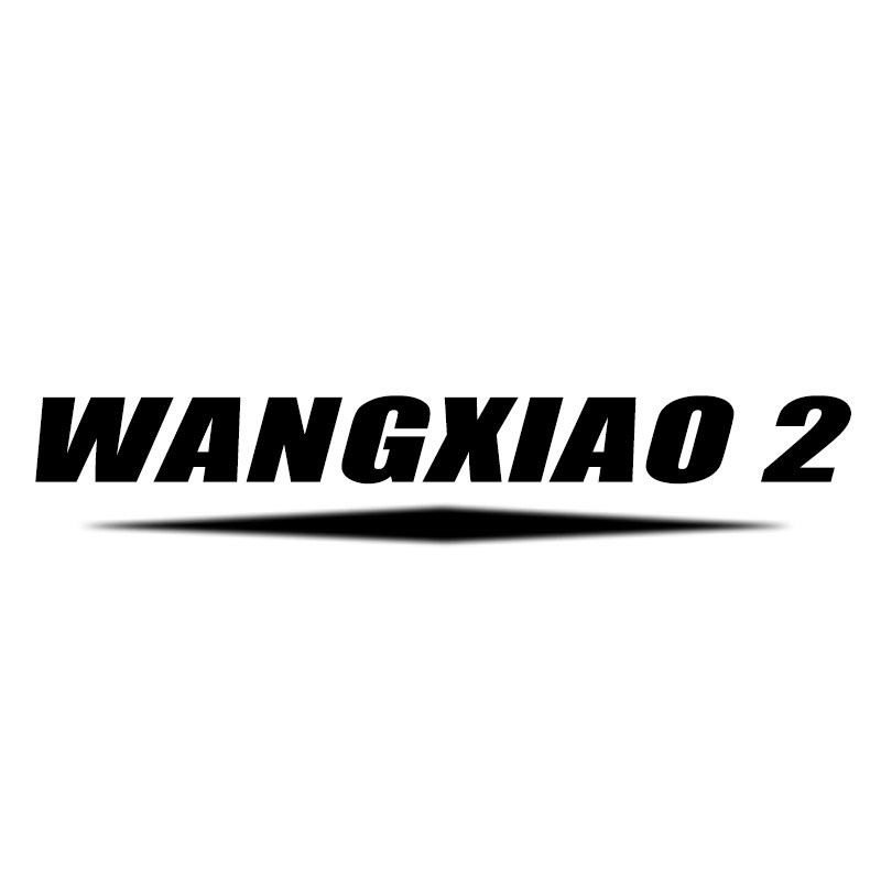WANGXIAO 2线上商店