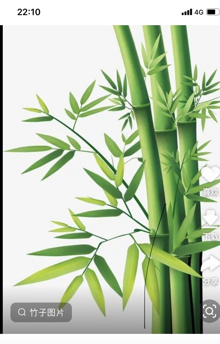 丁丁竹篮