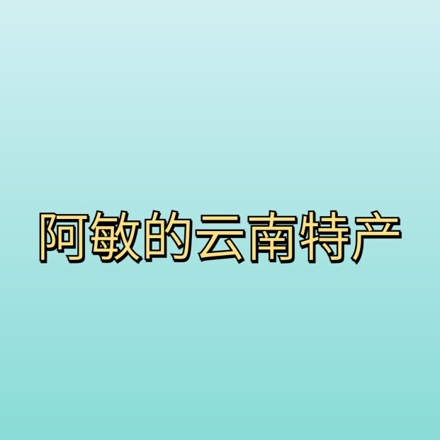 阿敏的云南特产店