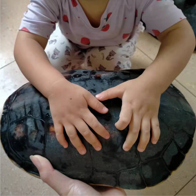 生物园