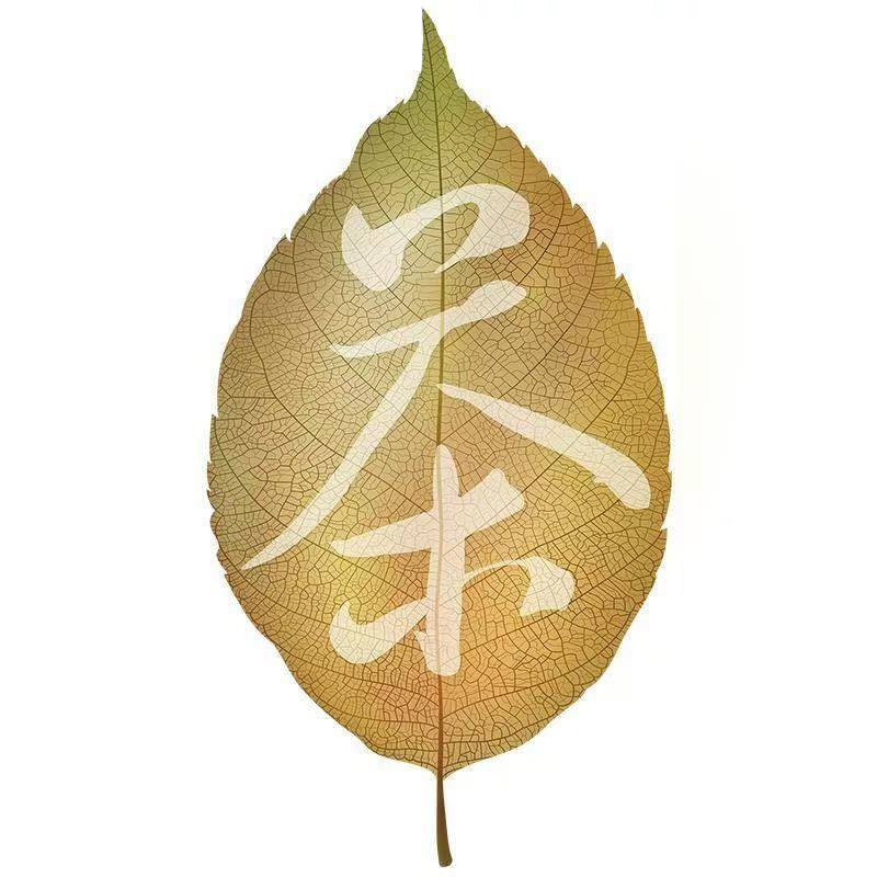 云顶茗茶 店铺LOGO