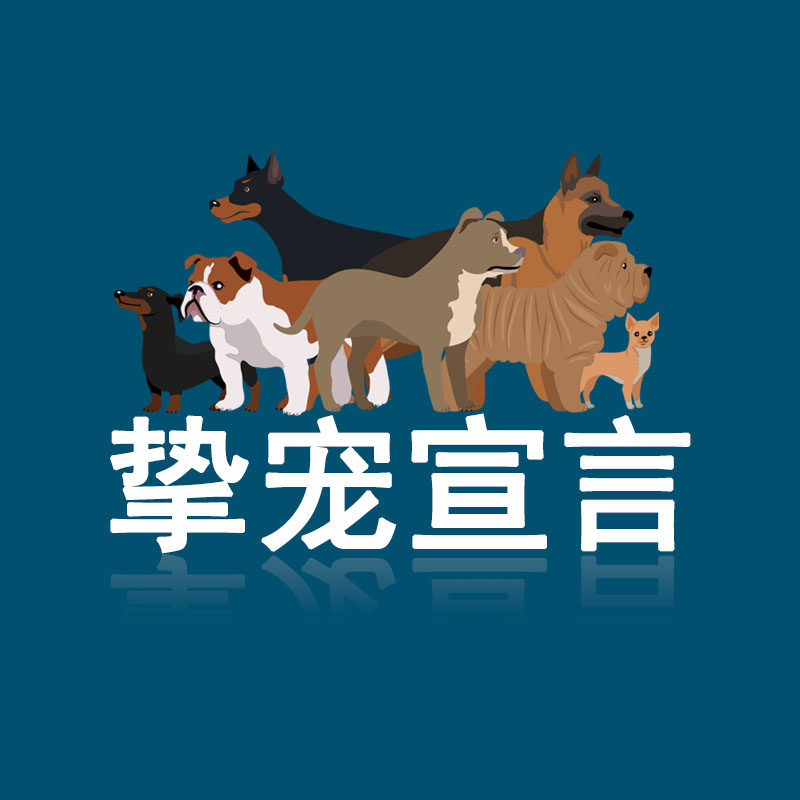 挚宠宣言