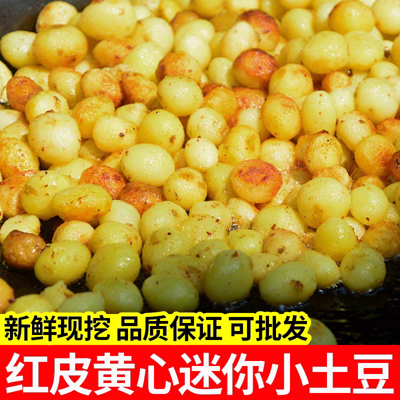 云南楚雄特产店
