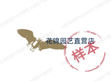 花锦园艺直营店