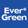 evergreen常青树
