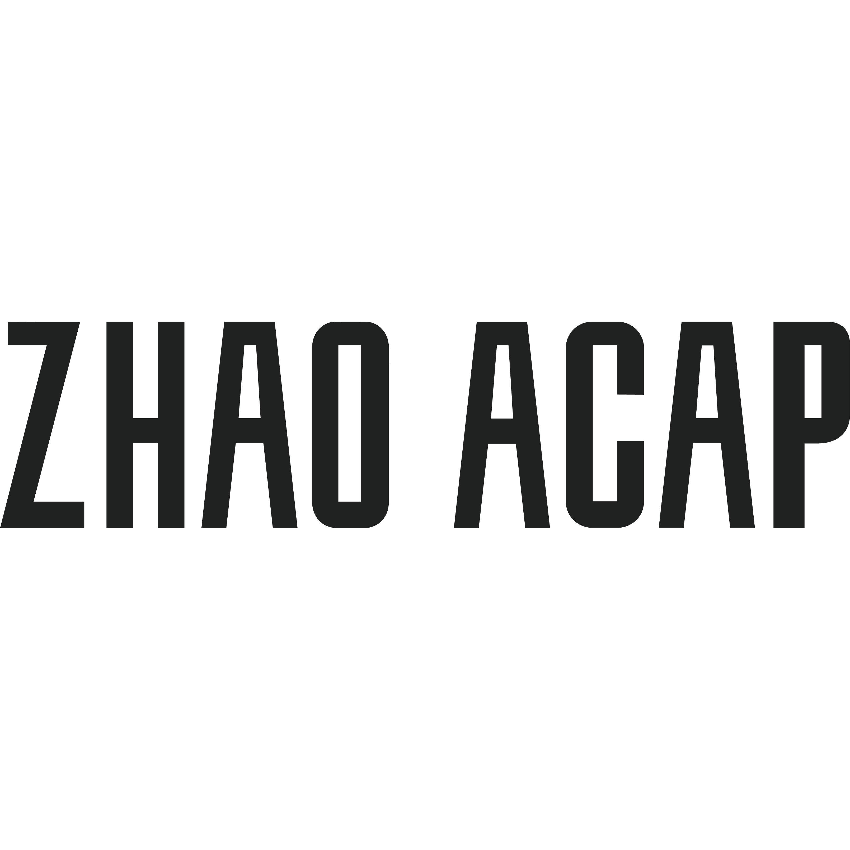 ZHAOACAP旗舰店 店铺LOGO