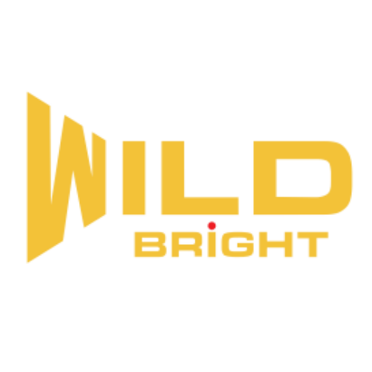 WILD BRIGHT 户外照明