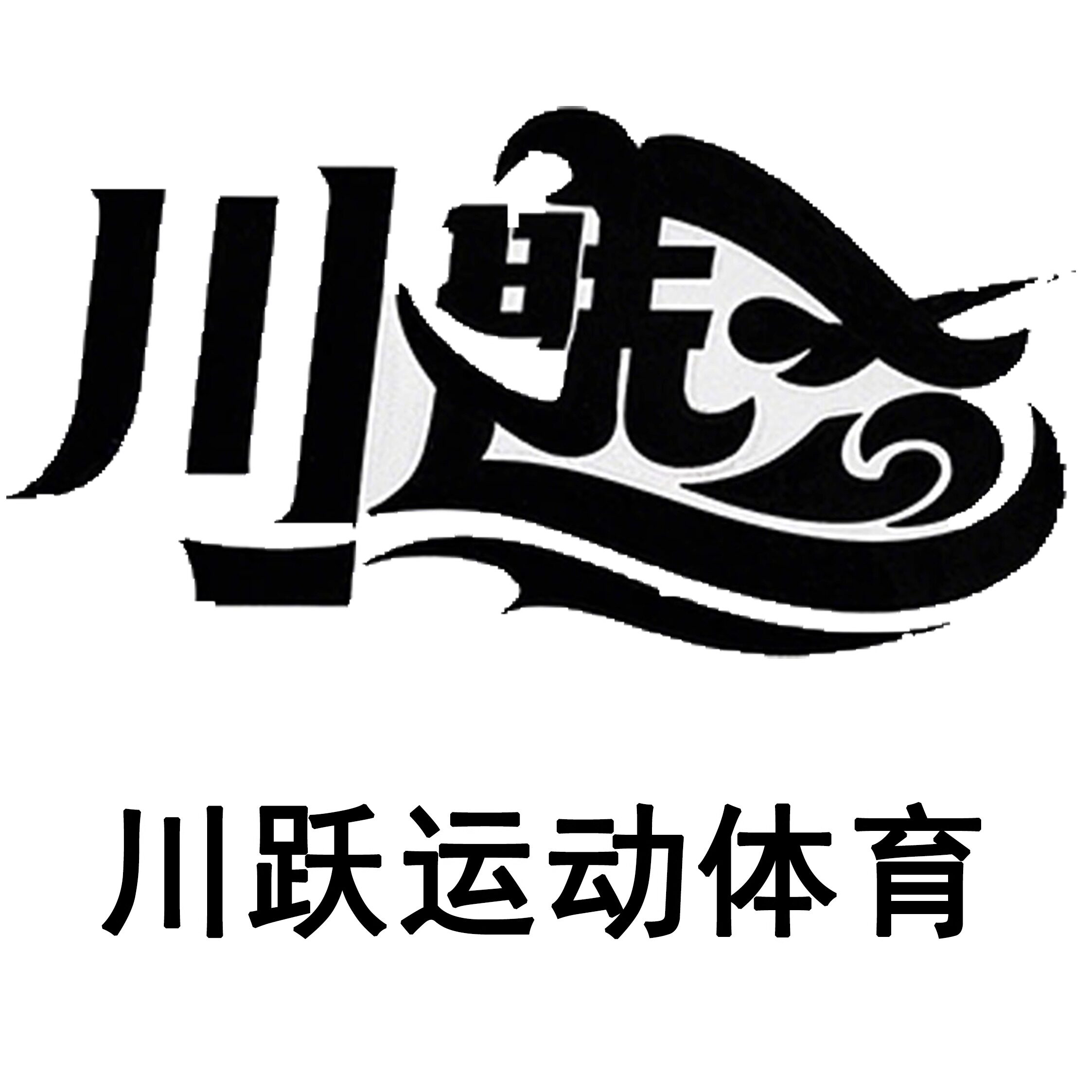 川跃运动体育