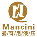 曼奇尼液压科技