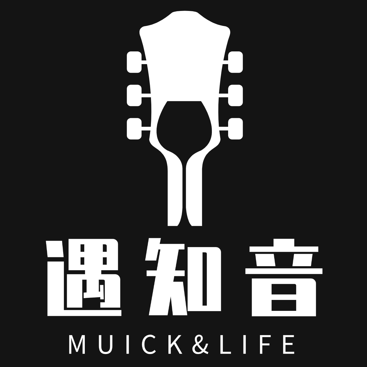 遇知音乐器