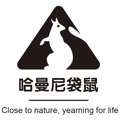 哈曼尼袋鼠服装店的小店