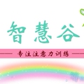 智慧谷注意力