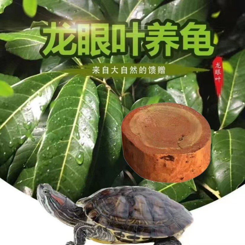 佳凡水族用品