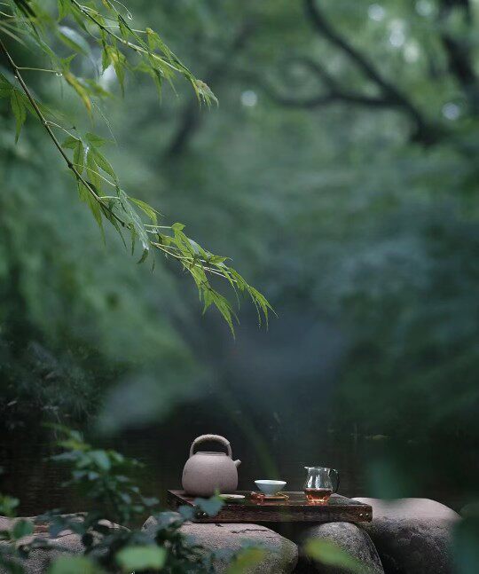 上海国际茶苑