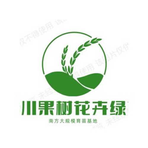 四川果树花卉绿化苗木基地