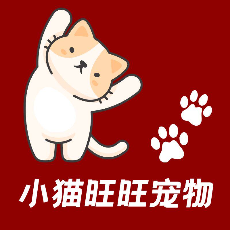小猫旺旺宠物
