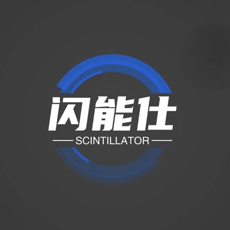 闪能仕 店铺LOGO
