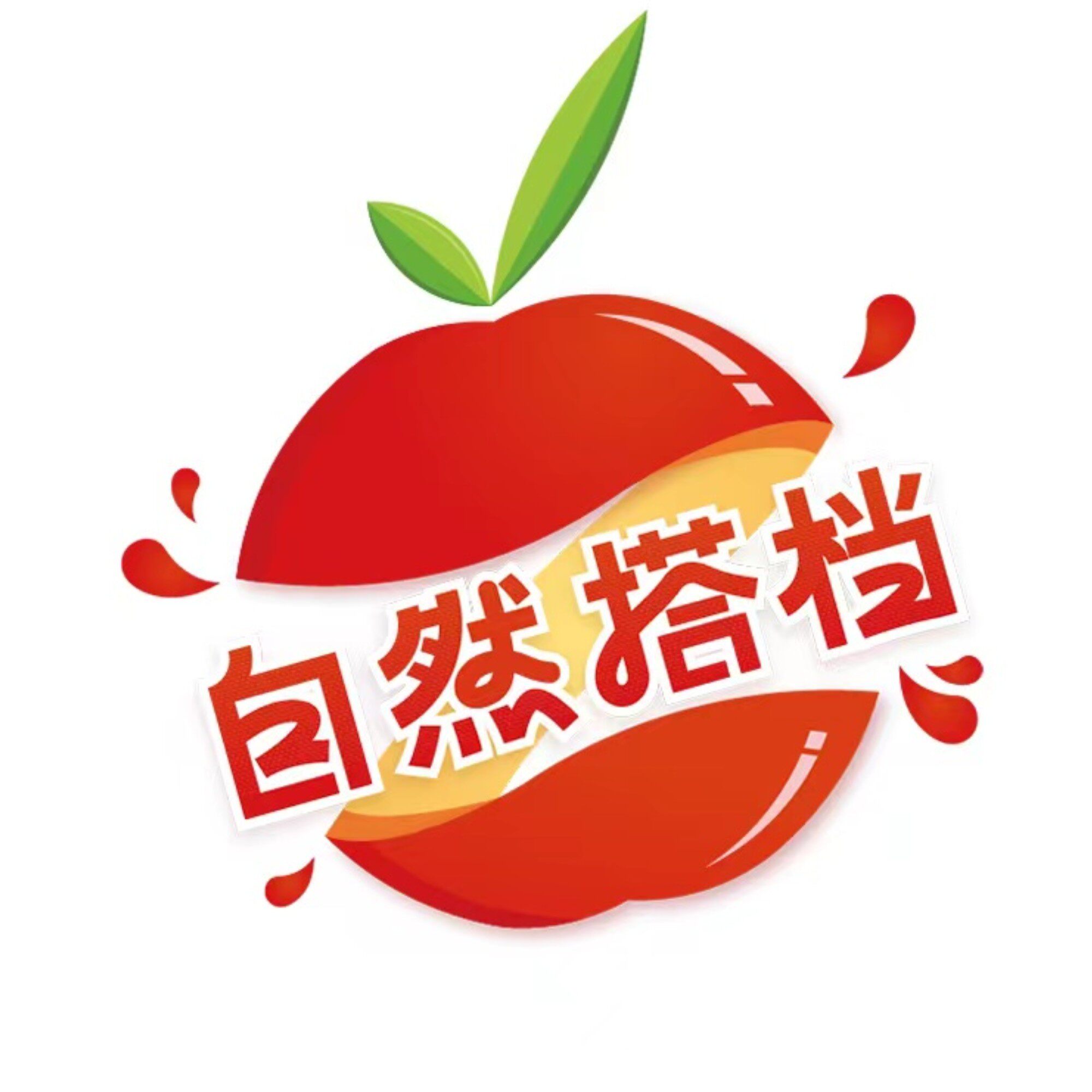 自然搭档旗舰