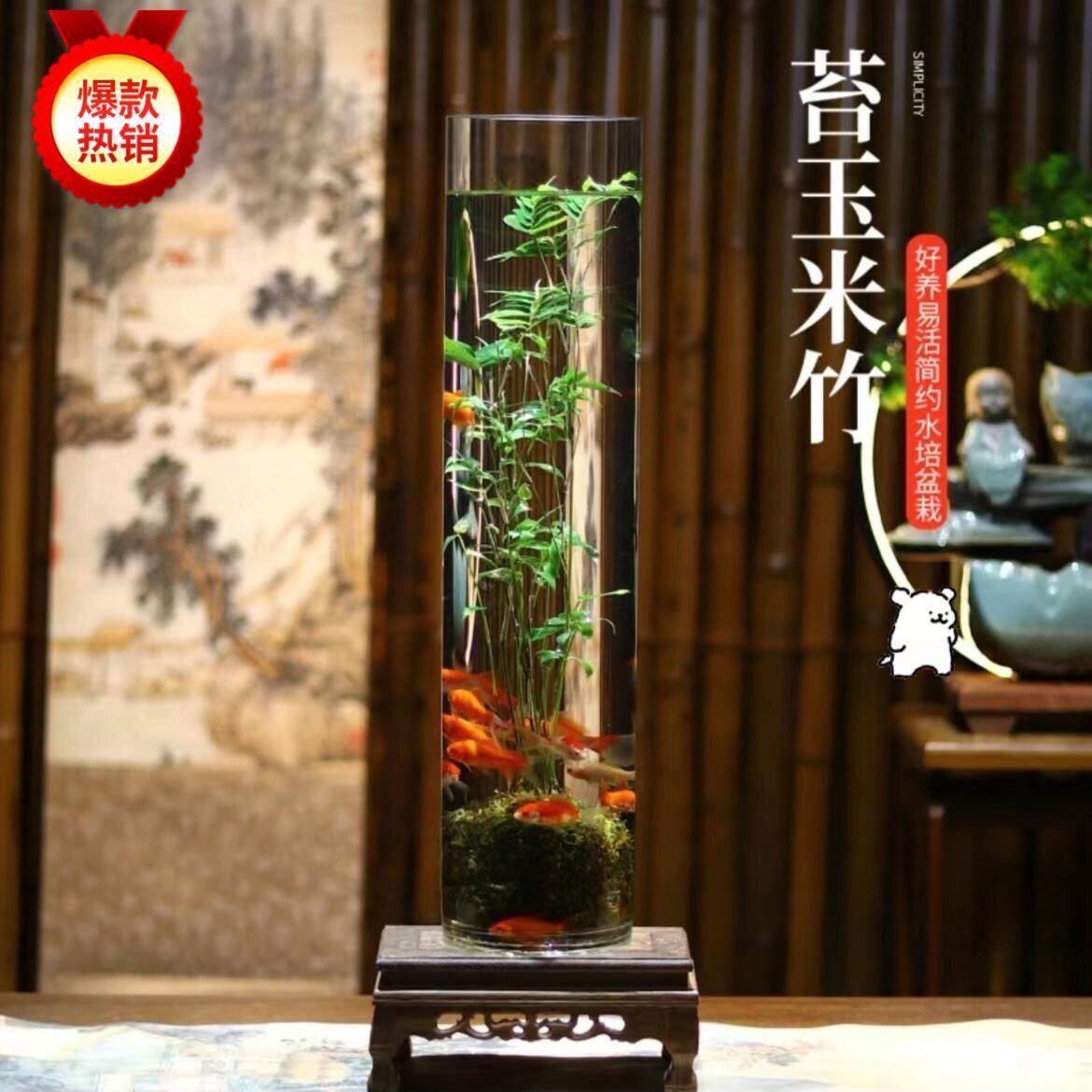福竹田园
