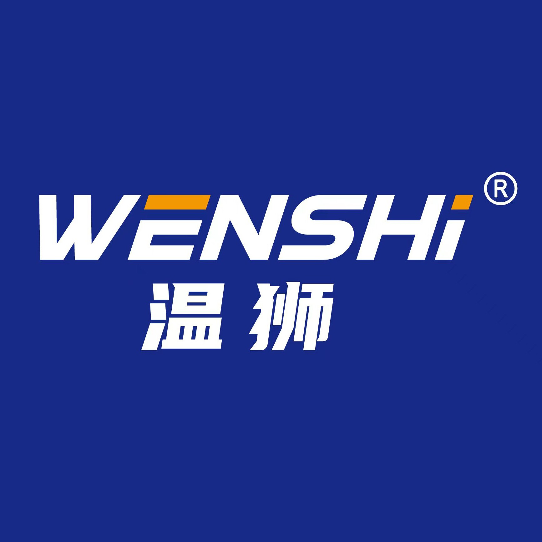 温狮电器旗舰店