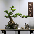 屹林盆景企业店