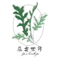蕨类世界