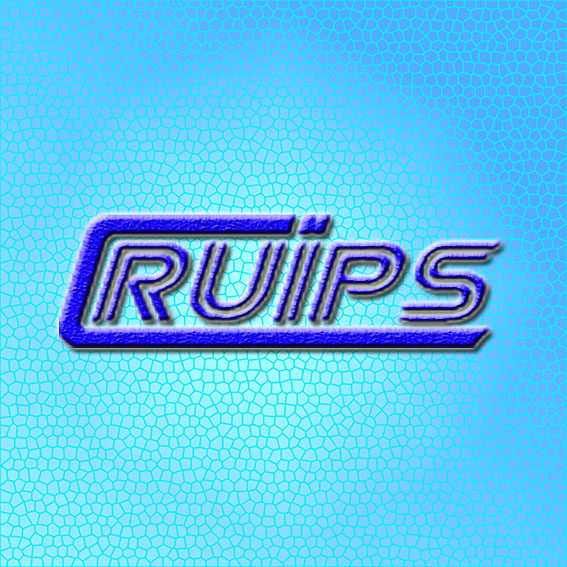 RUIPS企业店