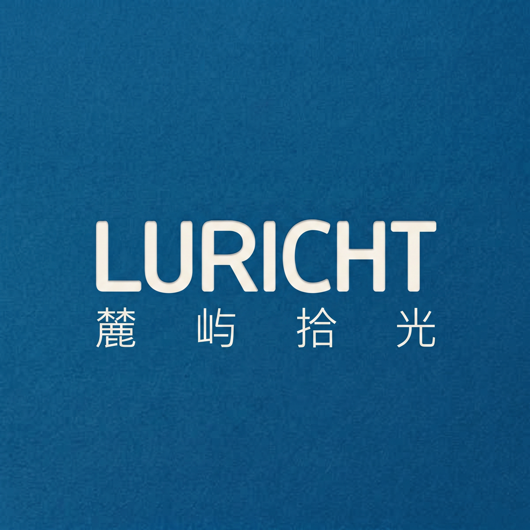 麓屿拾光旗舰店 店铺LOGO