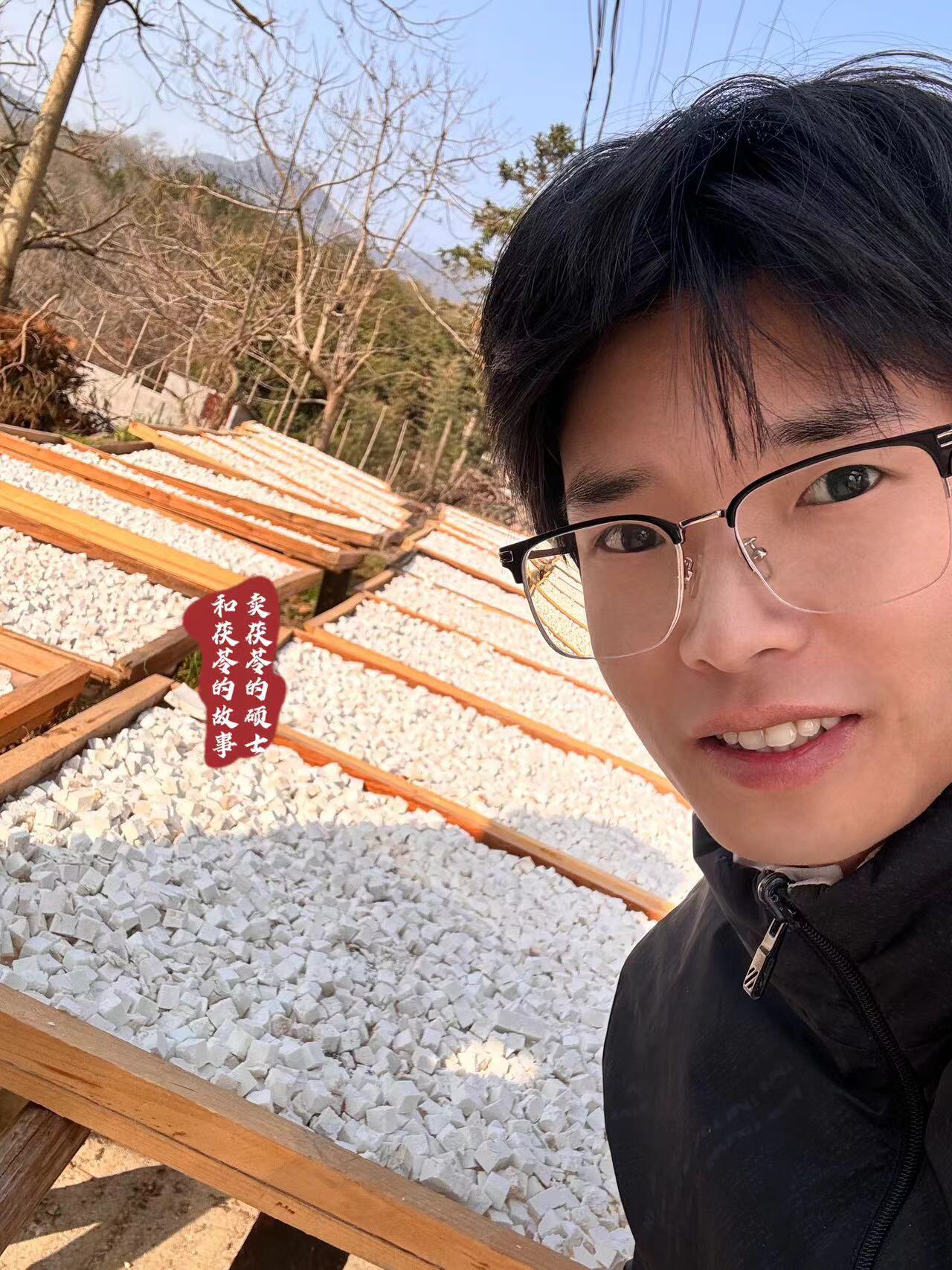卖茯苓的硕士和茯苓的故事