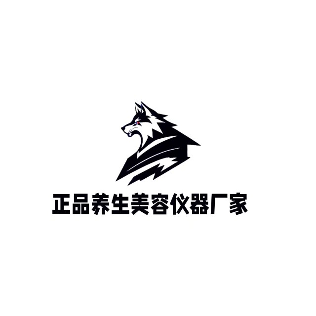 养生美容仪器正品厂家店